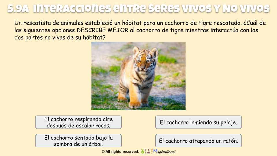 ¡Nivel Superior! Ciencia: Organismos y su Entorno (Edición Digital)