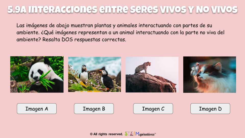¡Nivel Superior! Ciencia: Organismos y su Entorno (Edición Digital)