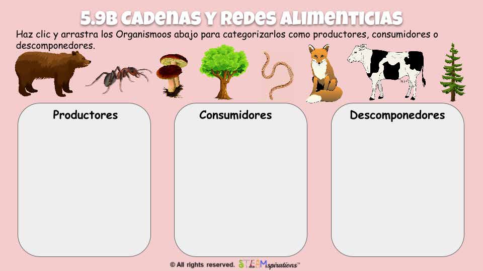 ¡Nivel Superior! Ciencia: Organismos y su Entorno (Edición Digital)