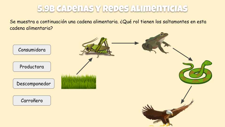 ¡Nivel Superior! Ciencia: Organismos y su Entorno (Edición Digital)