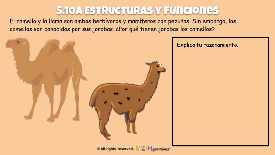 ¡Nivel Superior! Ciencia: Organismos y su Entorno (Edición Digital)