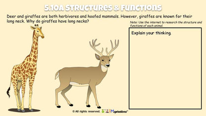 LVL Up! Science: Organisms & Their Environment (Digital Edition)