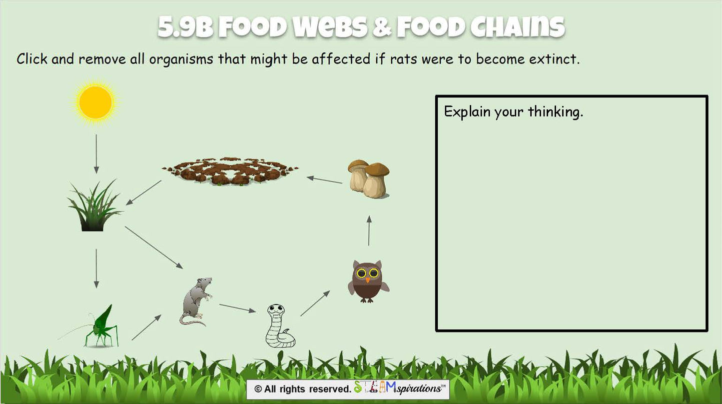 LVL Up! Science: Organisms & Their Environment (Digital Edition)